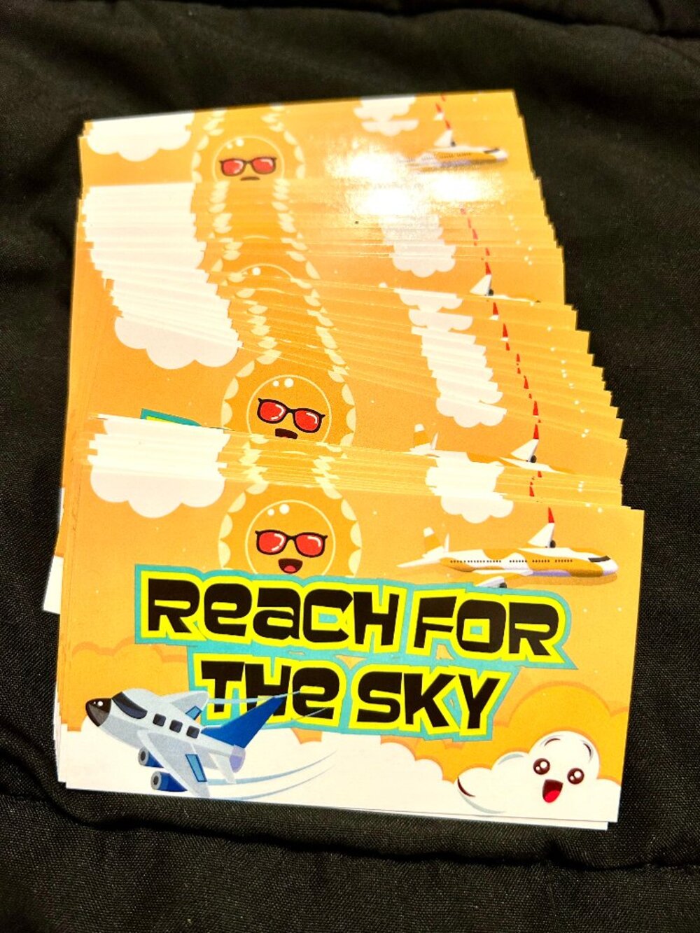 500 REACH FOR THE SKY Kids Aviation Stickers Business Card Size Glossy Labels